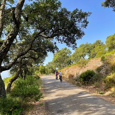 Le Rabelais 3* Le Lavandou