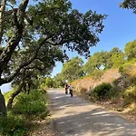 Le Rabelais 3* Le Lavandou
