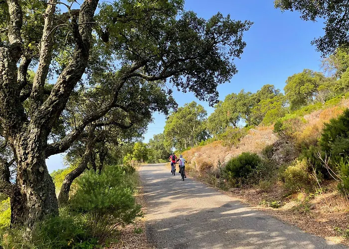 Le Rabelais 3* לה לבאנדו